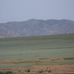 Ostatnie krajobrazy mongolskiego stepu