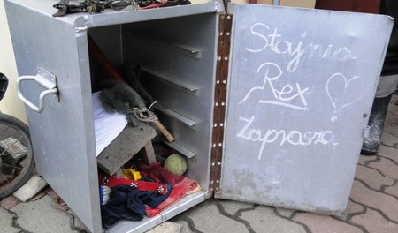 fot. Pogotowie dla Zwierząt w Trzciance